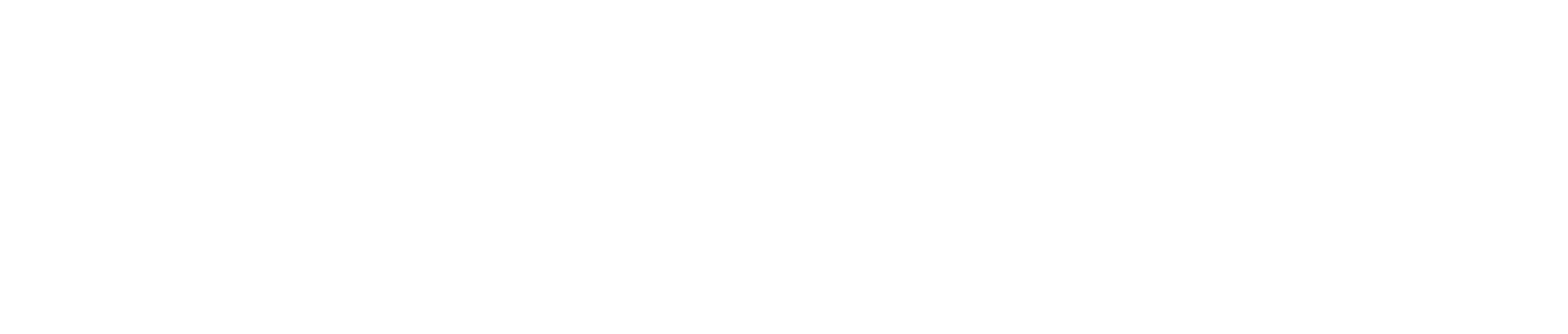 Resolute Auctions